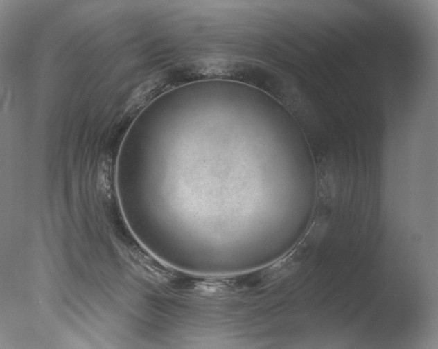 X0000077370175200610201401