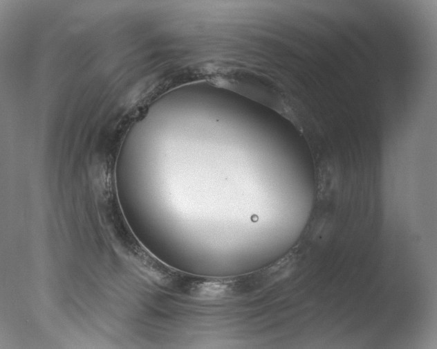 X0000077370176200610201401