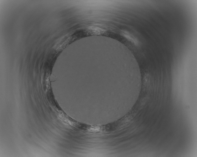 X0000077370177200610201401