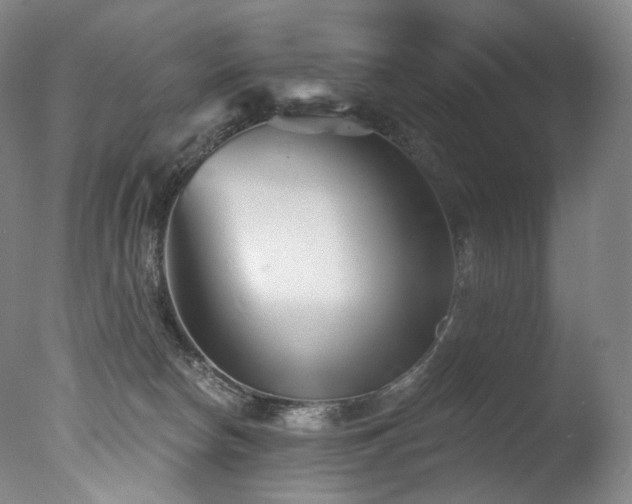 X0000077370178200610201401