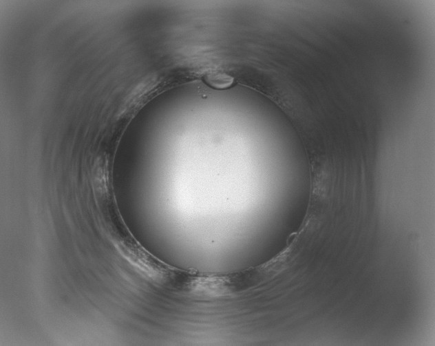 X0000077370179200610201401