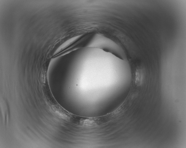 X0000077370180200610201401