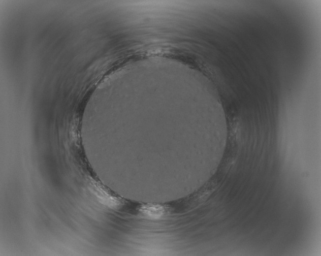 X0000077370181200610201401