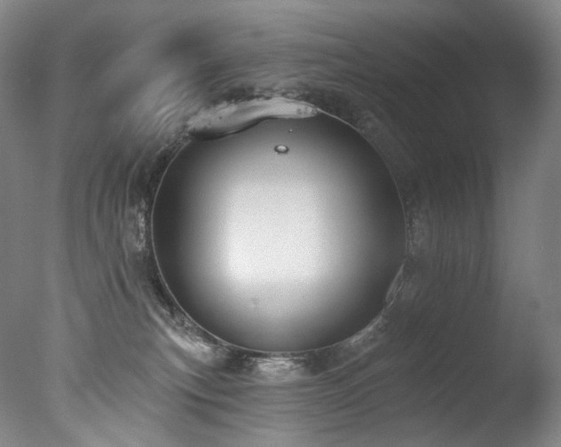 X0000077370183200610201401