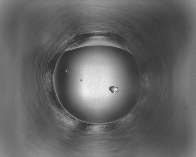 X0000077370184200610201401