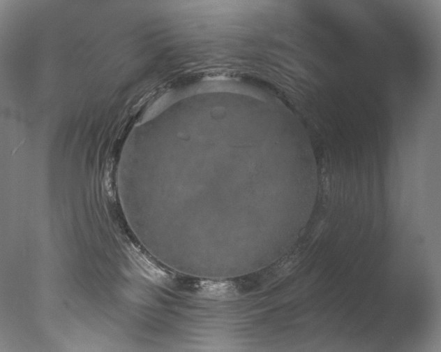 X0000077370185200610201401