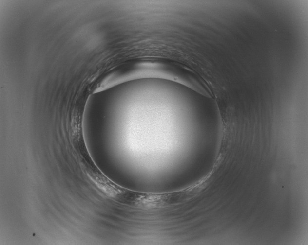 X0000077370186200610201401