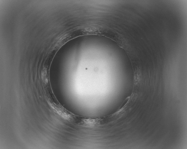 X0000077370187200610201401