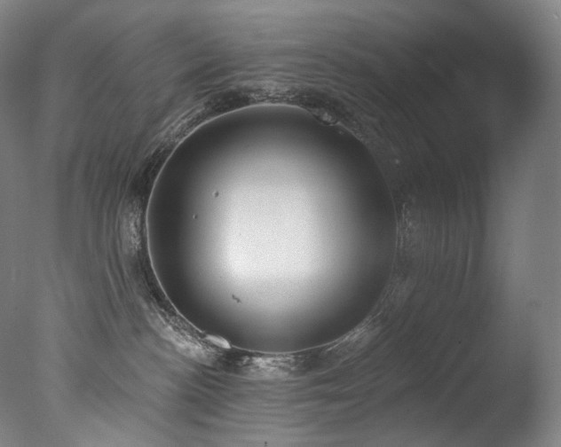 X0000077370188200610201401