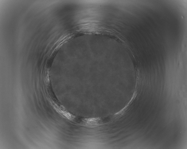 X0000077370191200610201401