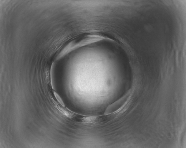 X0000077370192200610201401