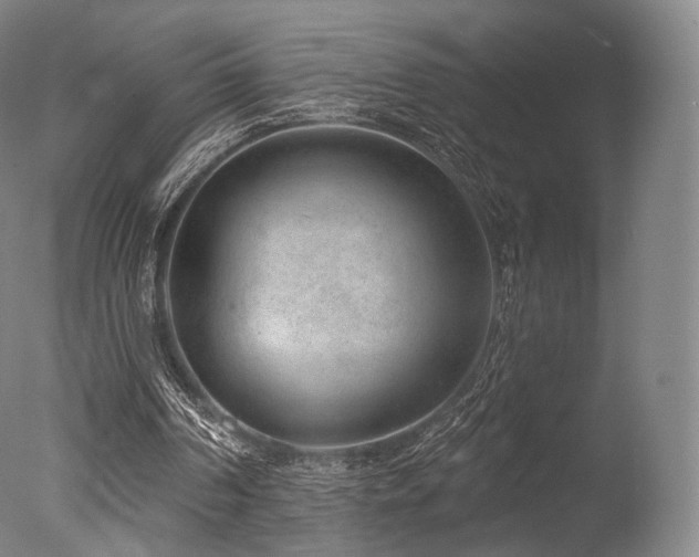 X0000077370194200610201400