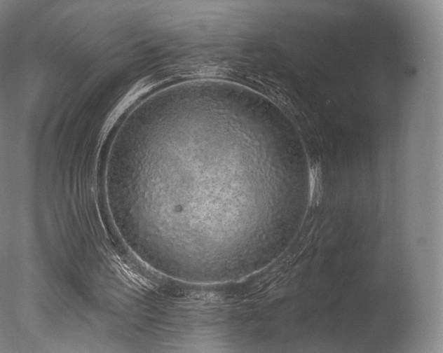 X0000077370195200610201400