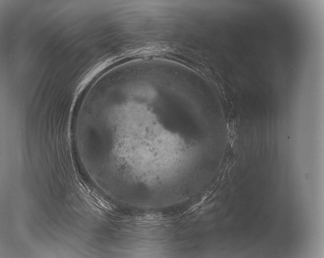 X0000077370196200610201400