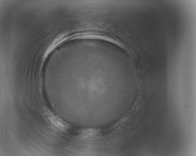 X0000077370198200610201400