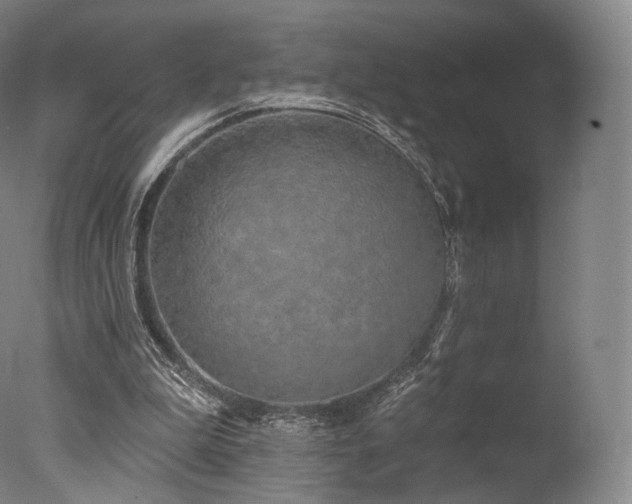 X0000077370199200610201400