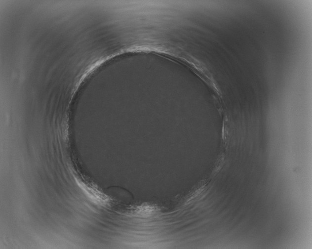 X0000077370204200610201400