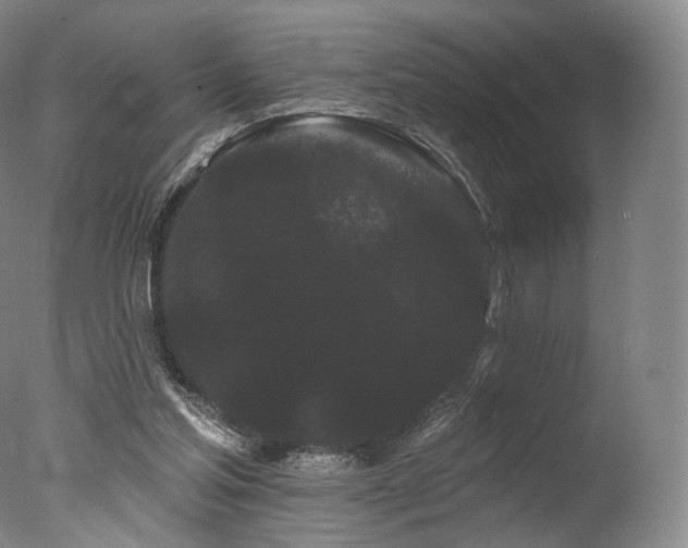 X0000077370205200610201400