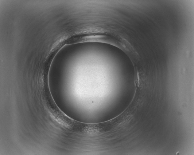 X0000077370207200610201400