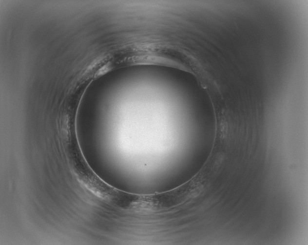 X0000077370211200610201400