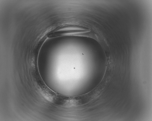 X0000077370212200610201400