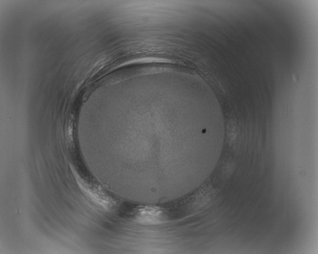 X0000077370214200610201400