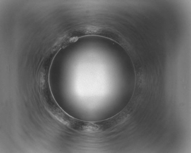 X0000077370215200610201400