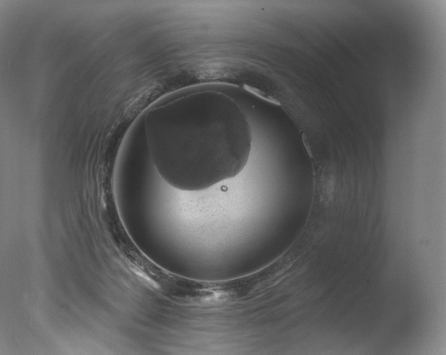 X0000077370219200610201400