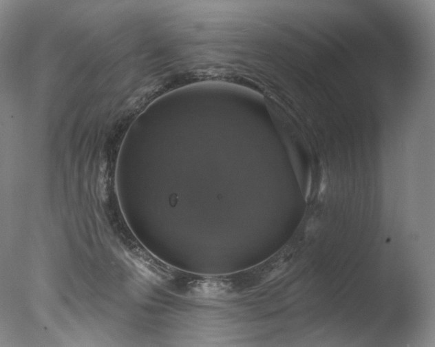 X0000077370223200610201400