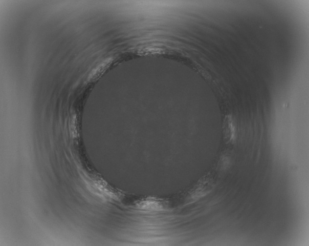 X0000077370224200610201400