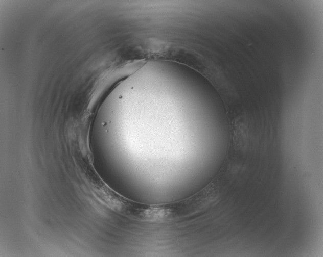 X0000077370225200610201400