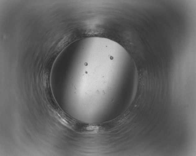 X0000077370227200610201400