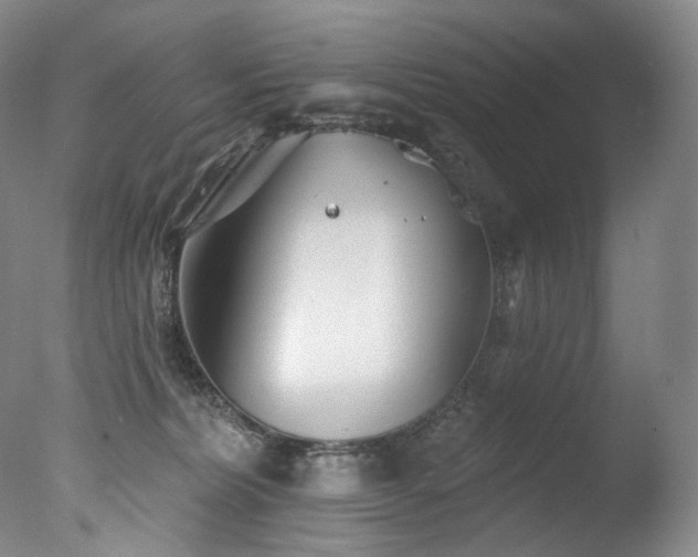 X0000077370228200610201400