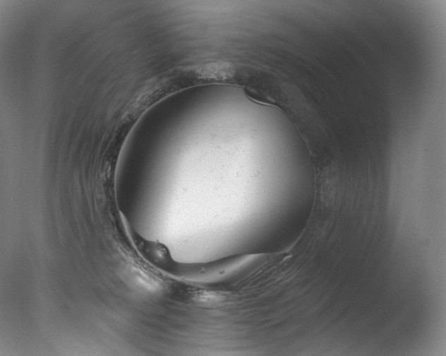 X0000077370229200610201400