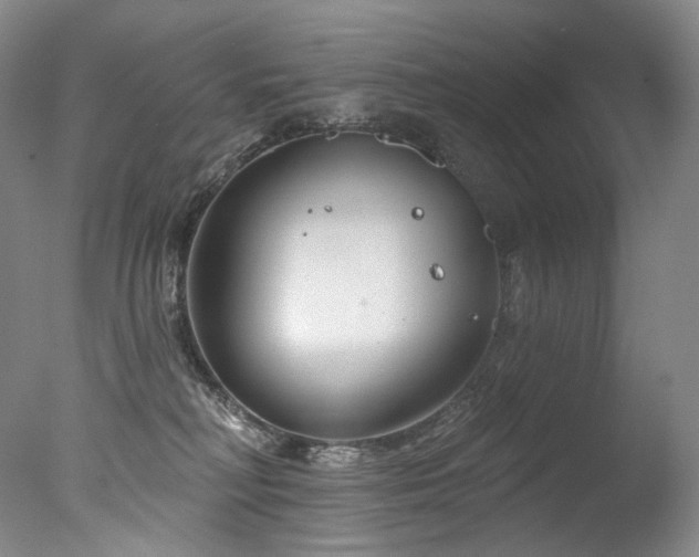 X0000077370230200610201400