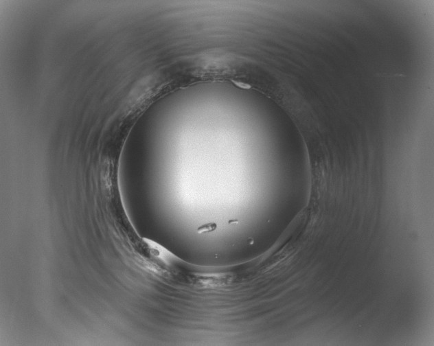 X0000077370232200610201400