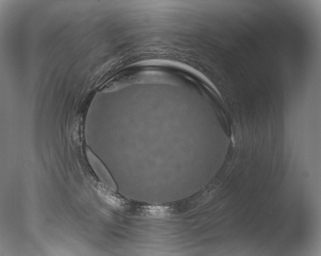 X0000077370233200610201359