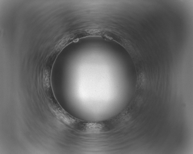 X0000077370234200610201359