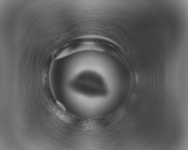 X0000077370235200610201359