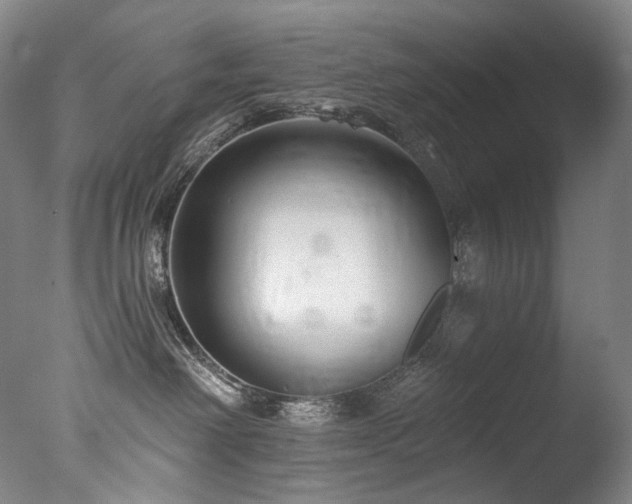 X0000077370238200610201359