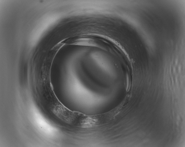 X0000077370239200610201359