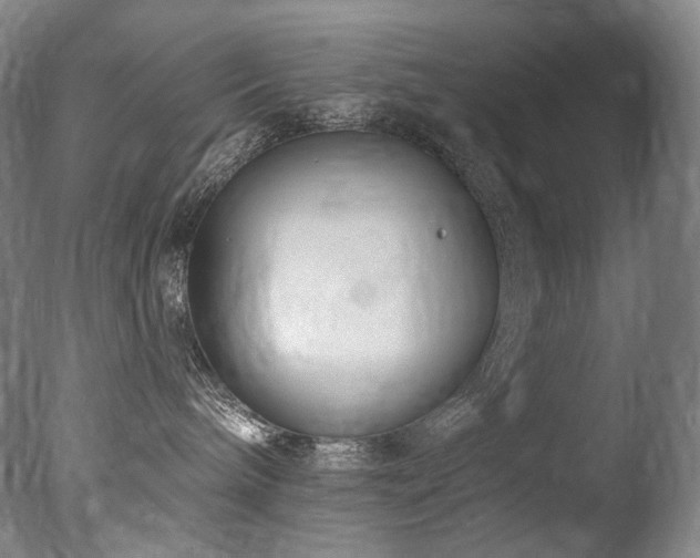 X0000077370240200610201359