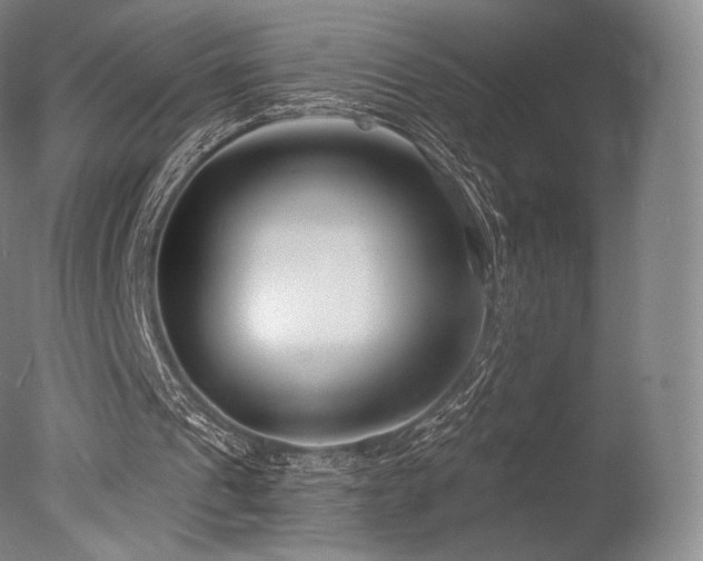 X0000077370241200610201359