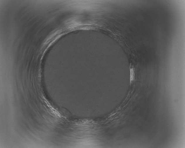 X0000077370243200610201359