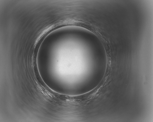 X0000077370244200610201359