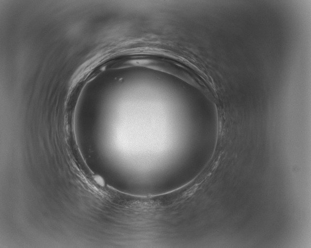 X0000077370245200610201359