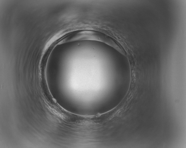 X0000077370246200610201359