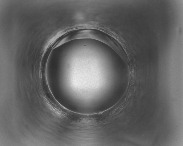 X0000077370248200610201359