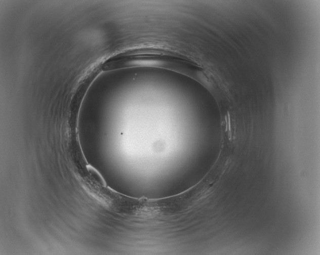 X0000077370252200610201359