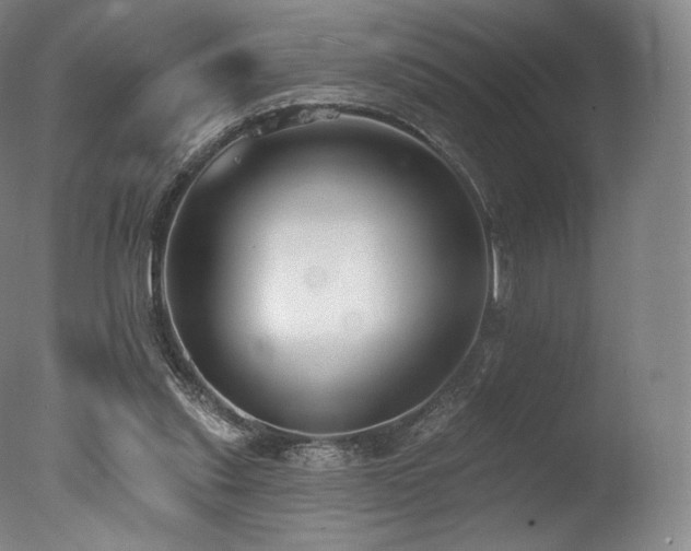 X0000077370253200610201359